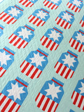 Load image into Gallery viewer, JARS & STRIPES FOREVER _ digital quilt pattern