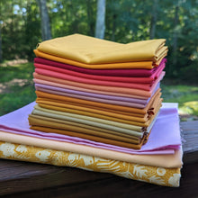 Load image into Gallery viewer, FALL BLOOMING _  digital quilt pattern
